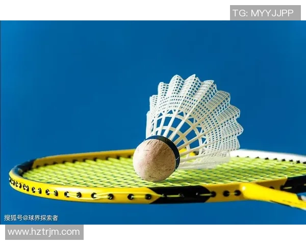 赛后分析：杭州羽毛球队与重庆羽毛球队的战术意识与表现对比